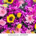 揭秘原神内鬼爆料吧的背景与发展历程 dr3lx