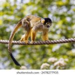 揭秘国内黑料网站的真相与潜在风险 oskze6el