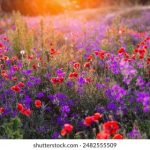 揭秘原神内鬼网网址的真相与风险分析 p4r0iss1