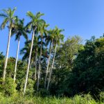 揭秘套路直播回放绘子的精彩瞬间与技巧 wo9rod15v